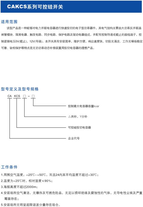CAKCS系列可控硅開關(guān)1.jpg