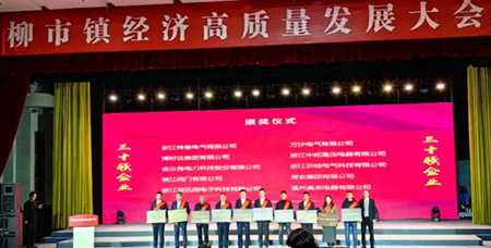 譜寫新篇|常安集團榮獲“柳市鎮(zhèn)30強企業(yè)”稱號